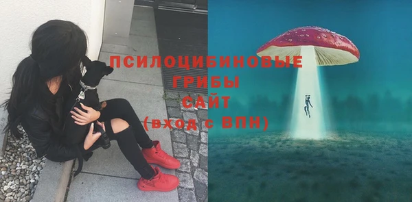 a pvp Корсаков