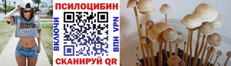 Псилоцибиновые грибы мухоморы Гурьевск