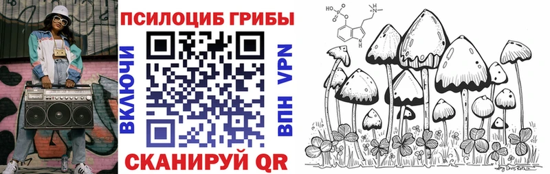 Купить закладки  Гурьевск  Псилоцибиновые грибы прущие грибы 
