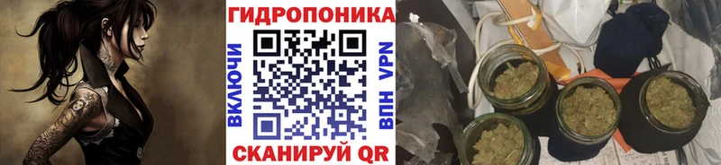 Бошки марихуана план Гурьевск
